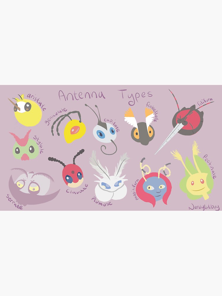 "Bug Antenna" Sticker for Sale by StudioCalico Redbubble