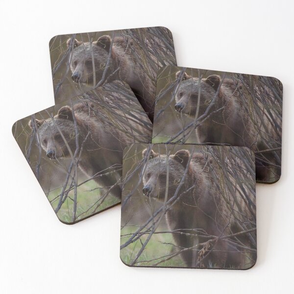 Item preview, Visited by the Spirit Bear designed and sold by Ken McElroy.
