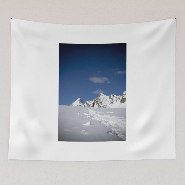 Item preview, ski mountaineering designed and sold by paolo amiotti.