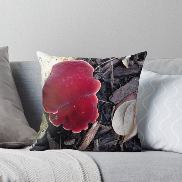 Item preview, Beautiful Red Funghi designed and sold by skottieo.