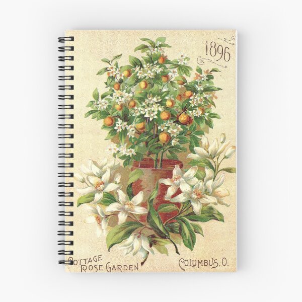 Item preview, Orange tree - Drobisch 1896 designed and sold by killies.