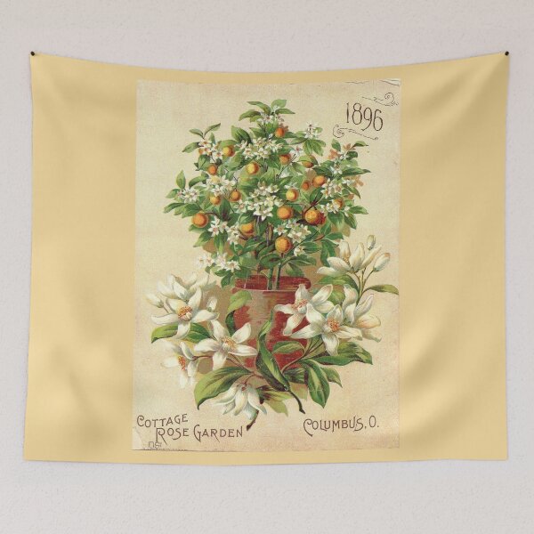 Item preview, Orange tree - Drobisch 1896 designed and sold by killies.