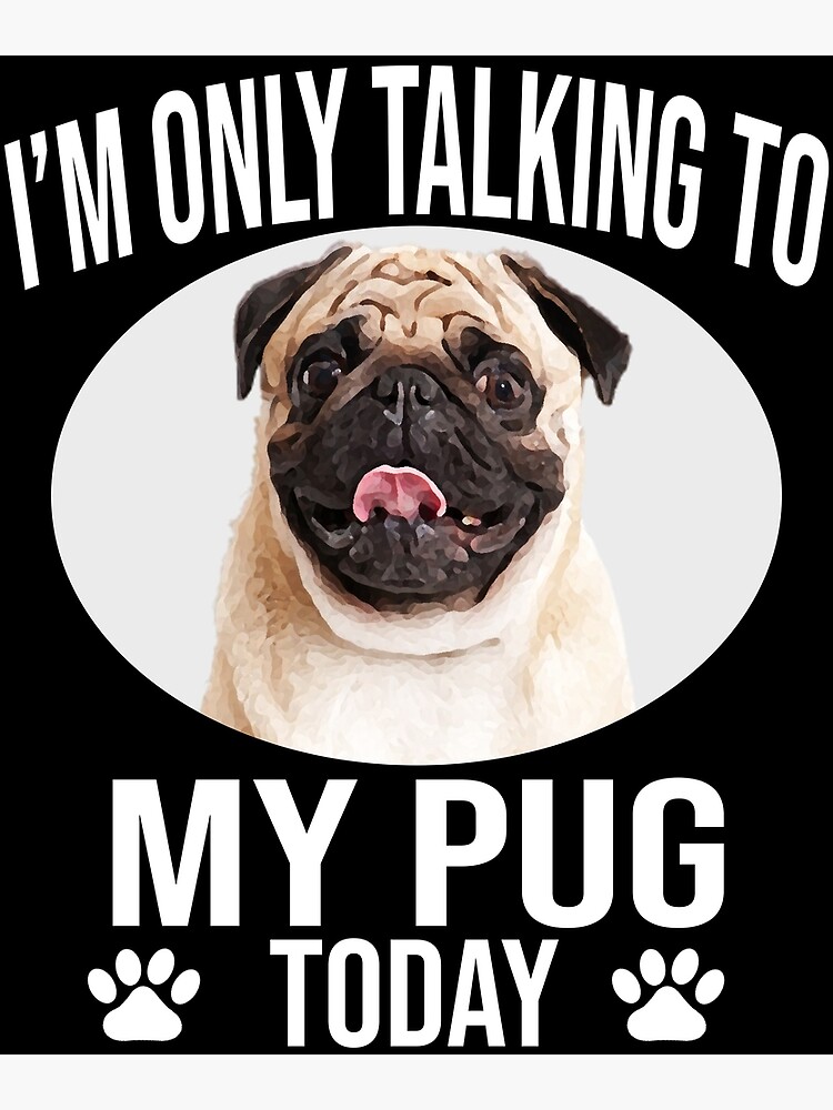 Talking pug store