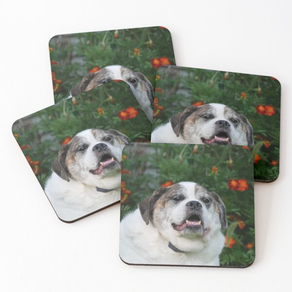 Item preview, School Photo. designed and sold by XRoes.