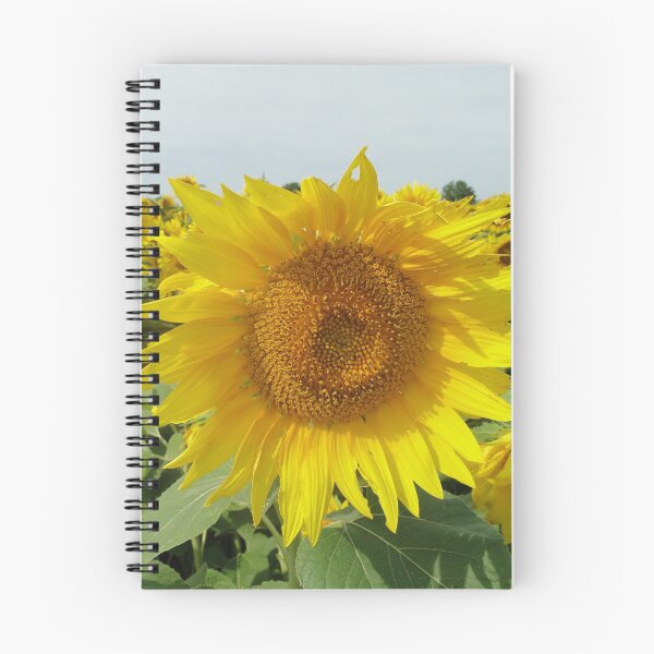 Item preview, Sunflower designed and sold by XRoes.