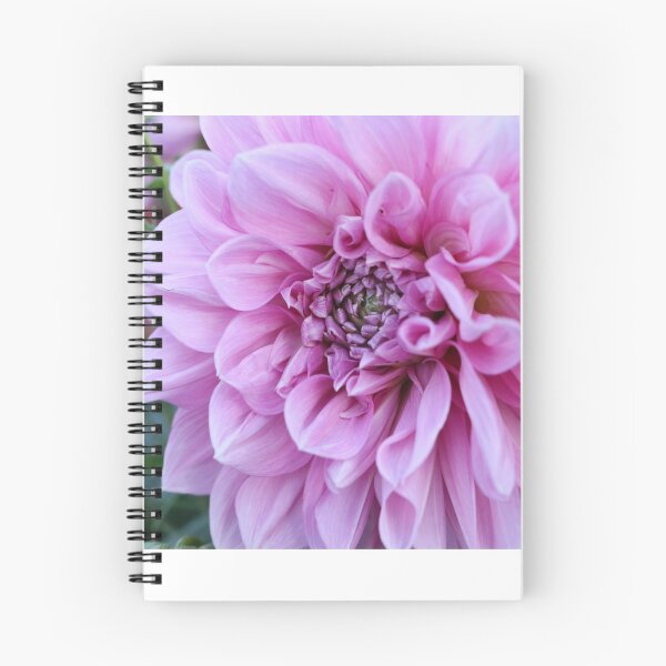 Item preview, Pink Dahlia designed and sold by Monika Hamilton.