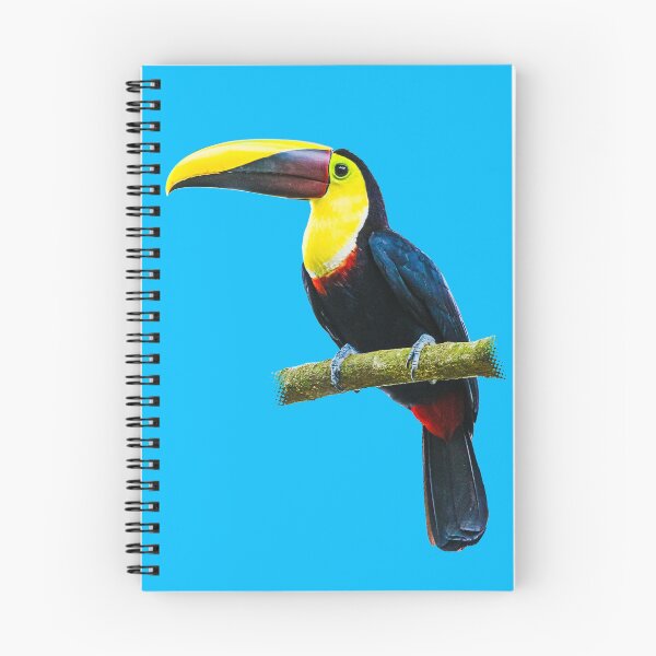 Item preview, Toucan on a Branch designed and sold by Jukka Heilimo.
