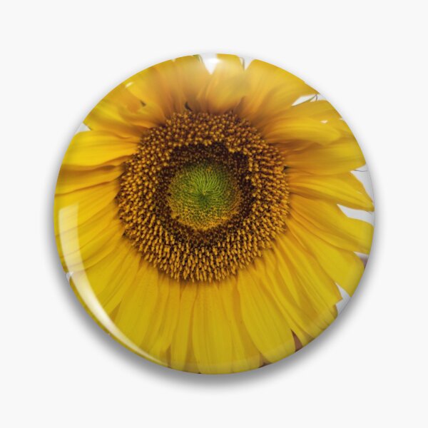 Item preview, Sunflower in a brown vase designed and sold by Pokofoto.