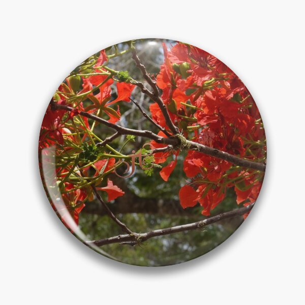 Item preview, Flamboyant designed and sold by LibrosBOOKtique.