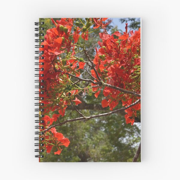Item preview, Flamboyant designed and sold by LibrosBOOKtique.