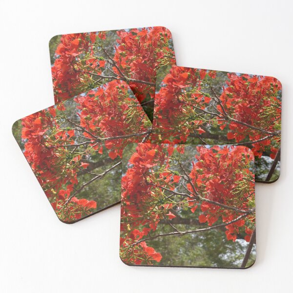 Item preview, Flamboyant designed and sold by LibrosBOOKtique.