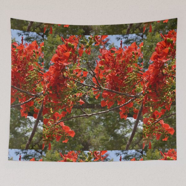 Item preview, Flamboyant designed and sold by LibrosBOOKtique.