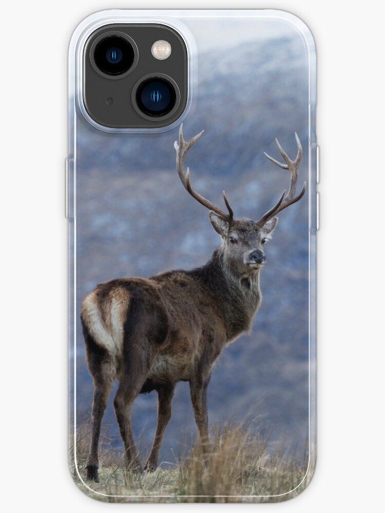 iphone red deer