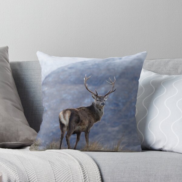 Item preview, Red Deer Stag designed and sold by derekbeattie.