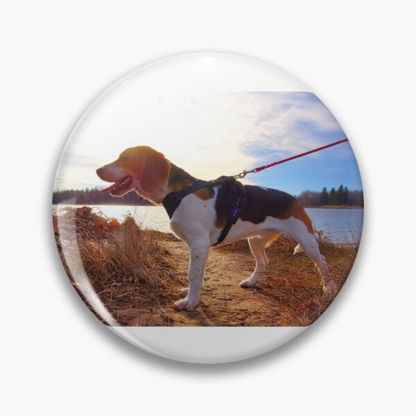 Item preview, The Beagle designed and sold by colorfulbundles.