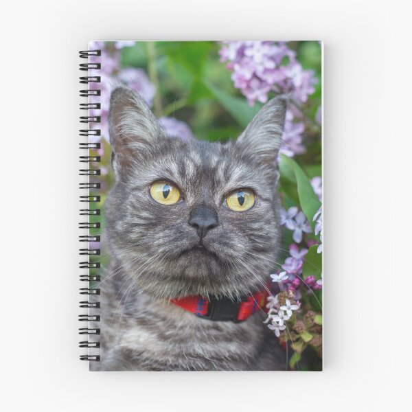Item preview, Smokey cat with lilac background designed and sold by Pokofoto.