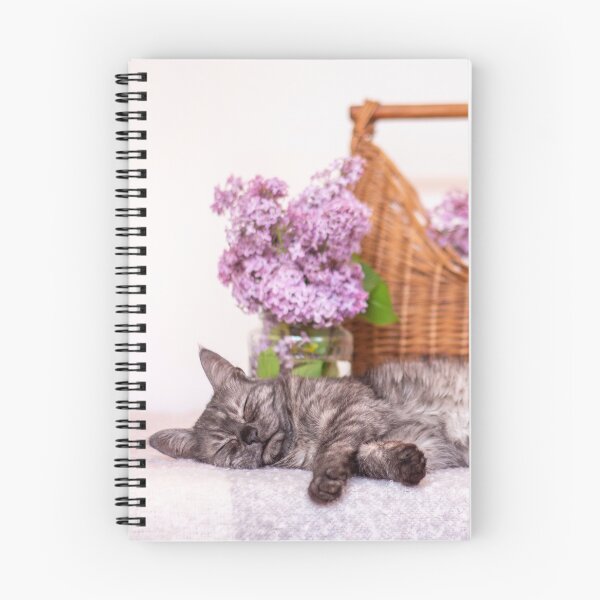 Artikelvorschau, Tabby Katze, die neben der lila Blume schläft entworfen und verkauft von Pokofoto.