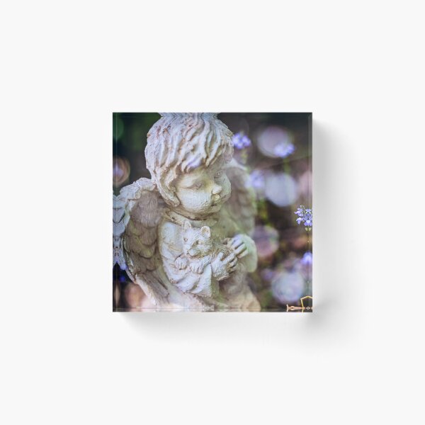 Item preview, Over the rainbow bridge designed and sold by bwatkinsphoto.