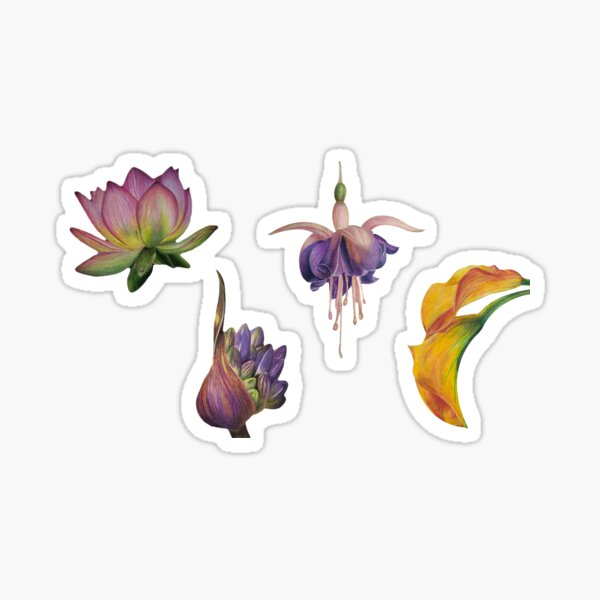 Floral Flowers - Flower Collection Sticker