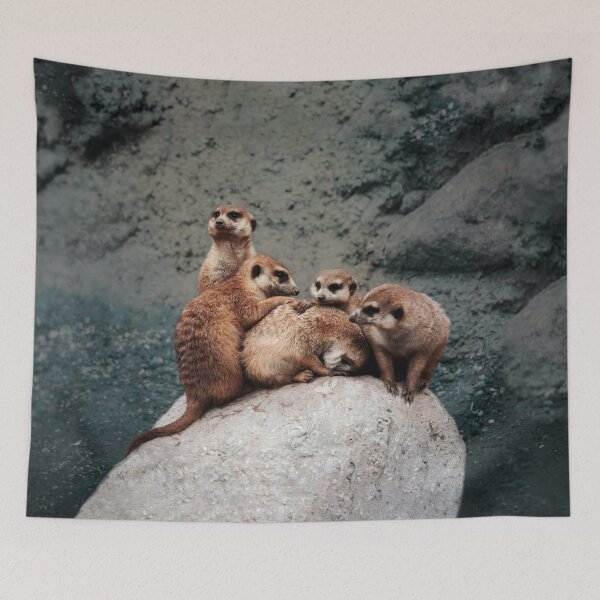 Item preview, Meerkats designed and sold by Laura Nagel.