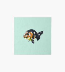 Ranchu Goldfish 2 Art Board