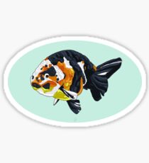 Ranchu Goldfish 2 Sticker