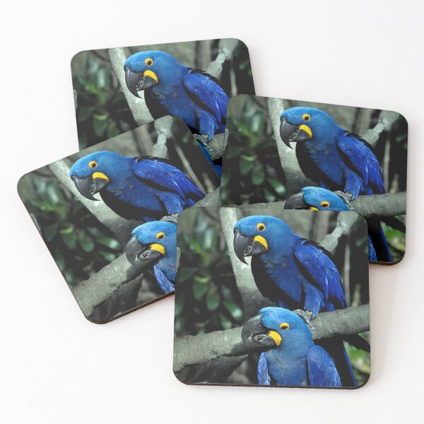 Item preview, Hyacinth Macaws Anodorhynchus designed and sold by Savannah Gibbs.