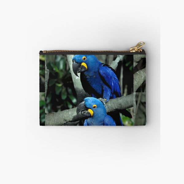 Item preview, Hyacinth Macaws Anodorhynchus designed and sold by Savannah Gibbs.