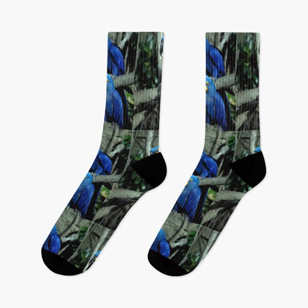 Item preview, Hyacinth Macaws Anodorhynchus designed and sold by Savannah Gibbs.