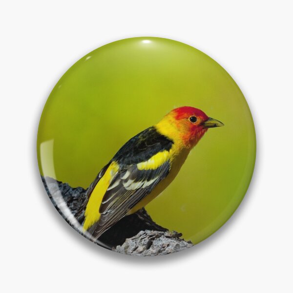 Item preview, Western Tanager designed and sold by Jeff Goulden Photography.