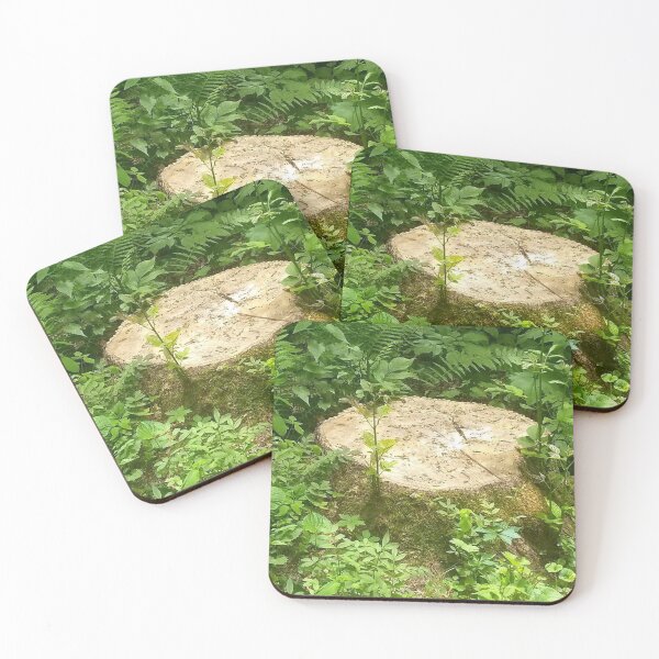 Item preview, What Is Left In The Forest designed and sold by EarthArtDesigns.