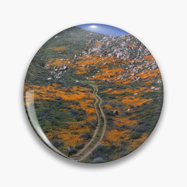 Item preview, Springtime California Poppies in Kern County 1950's designed and sold by Wernher Krutein.
