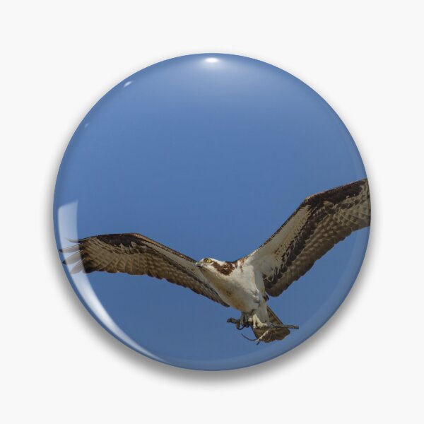 Item preview, Osprey 2020-3 designed and sold by Thomasyoung.