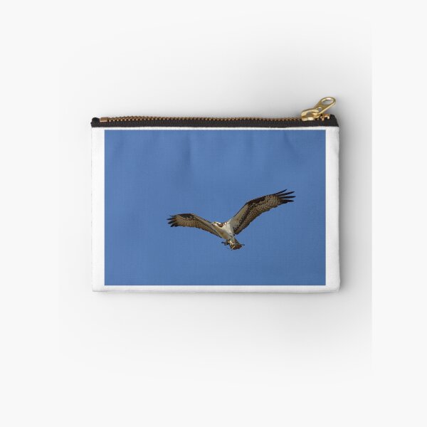Item preview, Osprey 2020-3 designed and sold by Thomasyoung.