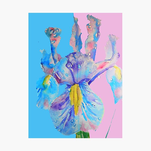 Item preview, Iris Watercolor Painting - Blue with Raindrops - on Pink and Blue designed and sold by Sarah  Rajkotwala.