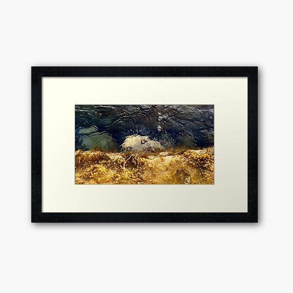 Sea Slug Framed Art Print