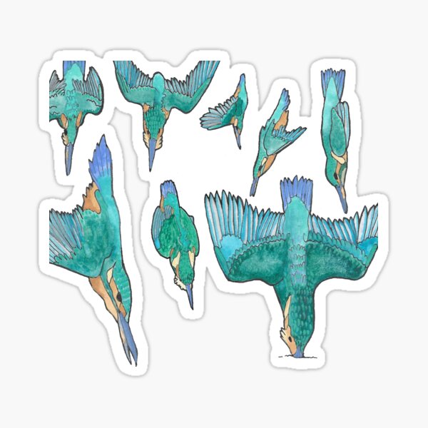 Eight Kingfishers Fishing (Dive! Dive! DIVE!) Sticker