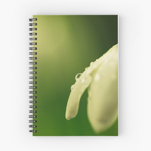 Item preview, Snowdrop and raindrop designed and sold by LindaCooke.
