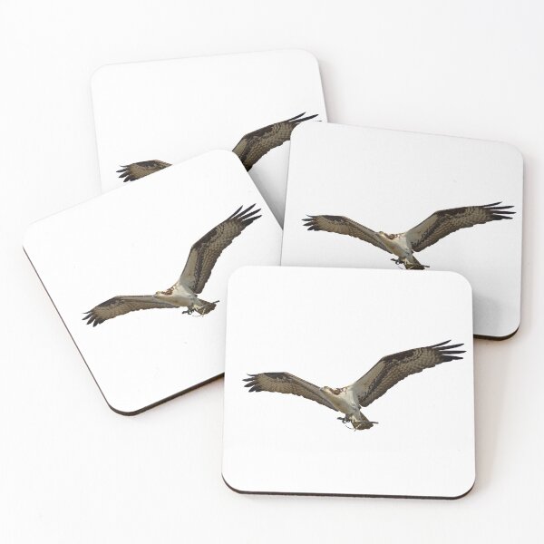 Item preview, Isolated Osprey 2020-1 designed and sold by Thomasyoung.