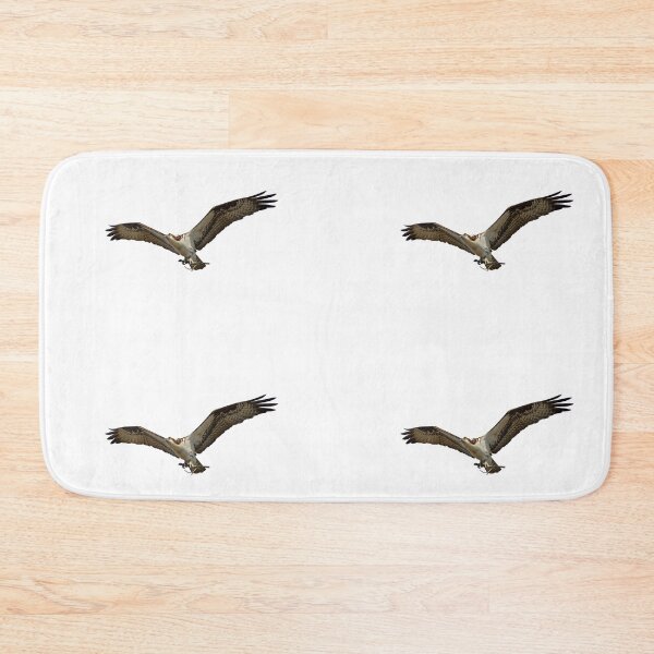 Item preview, Isolated Osprey 2020-1 designed and sold by Thomasyoung.