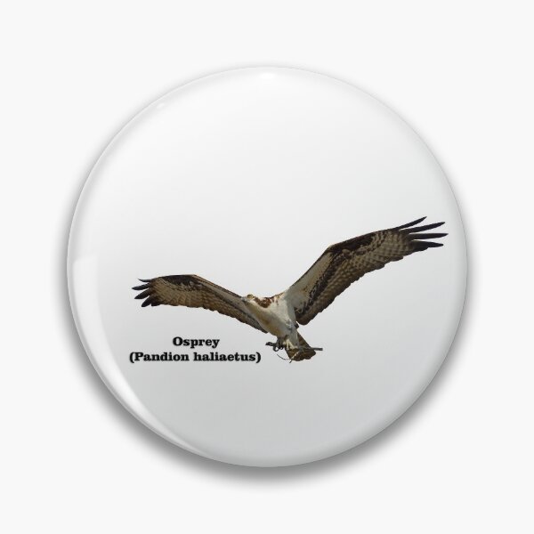 Item preview, Isolated Osprey With Name 2020-1 designed and sold by Thomasyoung.