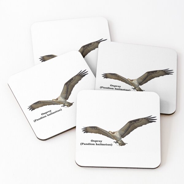 Item preview, Isolated Osprey With Name 2020-1 designed and sold by Thomasyoung.