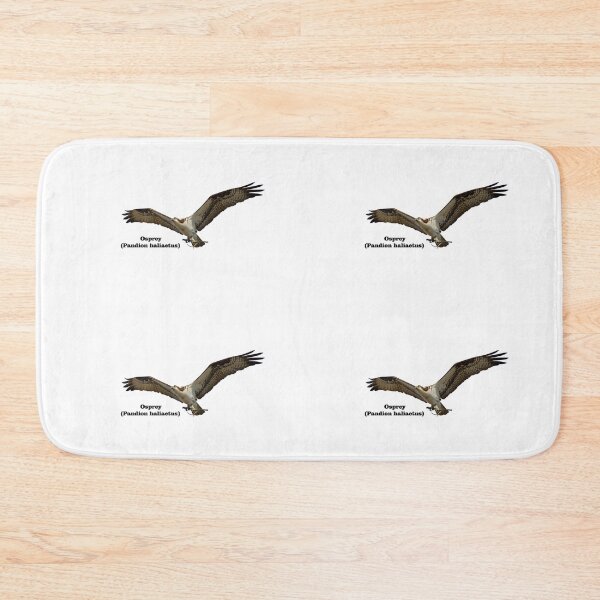 Item preview, Isolated Osprey With Name 2020-1 designed and sold by Thomasyoung.