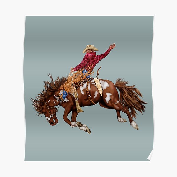 American Flag Bull Rodeo Cowboy Western Country Wild Retro hot