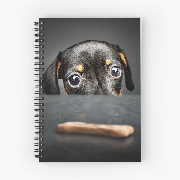 Item preview, Puppy longing for a treat designed and sold by Johan Swanepoel.