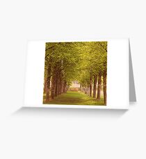 Path Of Trees Greeting Card