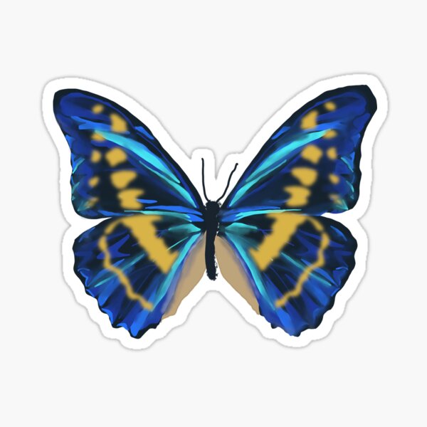 Blue and Yellow Morpho Butterfly Sticker