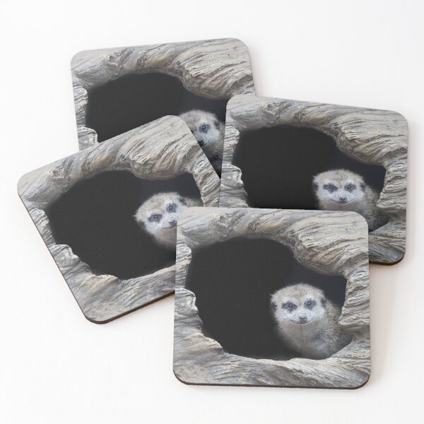 Item preview, Meerkat designed and sold by May Finch.