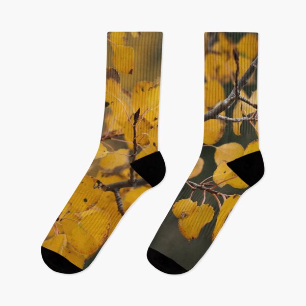 Item preview, Fall Aspen Leaves 2 designed and sold by jonesing.