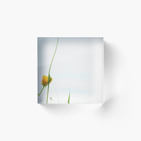 Aperçu de l'œuvre Fleurettes créée et vendue par PurpleReality.
